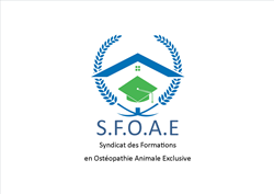 logo-sfoae